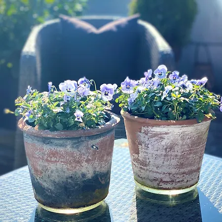 Teaterhotellet Hotel